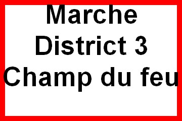 Marche 2024 du District 3