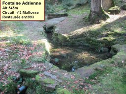 Fontaine_Adrienne-1