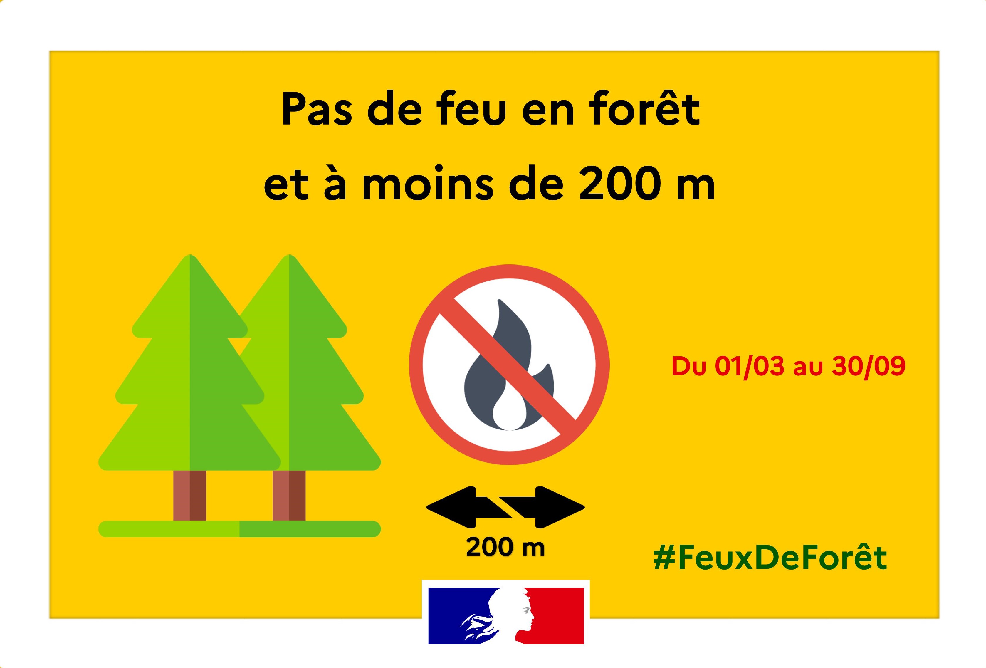 Feux_Forêts